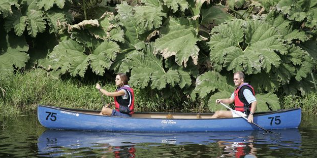 RANDO RIVIÈRE - 8 km | 1/2 journée