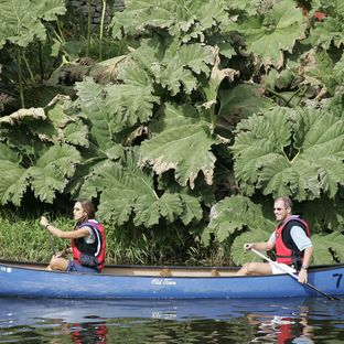 RANDO RIVIÈRE - 8 km | 1/2 journée